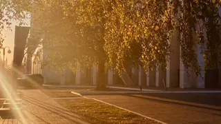 Синоптики сообщили о сухой и теплой погоде в Чувашии 9 ноября