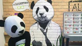 Вакансия: «Панда Оптика» приглашает офтальмологов