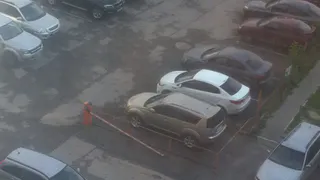 В Рязани водитель Тойоты сломал шлагбаум на частной территории