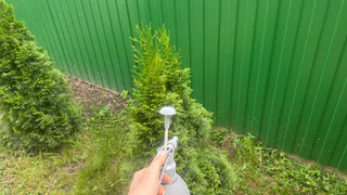 Скрытый враг вашего сада: кустарник, который тихо губит всё вокруг — а его выращивают почти все дачники