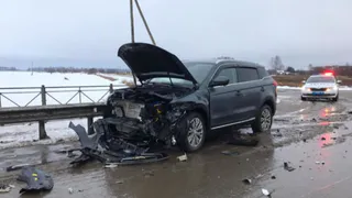 Столкнулись «Хендай» и «Джили»: На рязанской трассе в ДТП пострадал человек