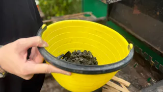 Беру старое дачное ведро и спасаю урожай: 3 способа сделать ведро хозяином дачи - подсказал друг-агроном