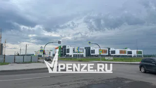 В Засечном мотоциклист сбил 59-летнюю женщину