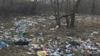 Изгадили весь лес: на Московском шоссе нашли стихийную свалку