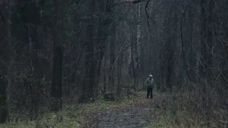 С начала года клещи покусали 30 рязанцев