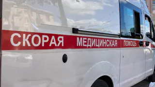 В Рязани на пешеходном переходе иномарка сбила десятилетнюю школьницу