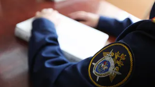 В Татарстане члены ОПГ предстанут за серию краж 