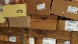 На границе Брянской области пресекли ввоз более 10 тонн продукции без контроля