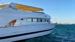 "Мы стали бесплатной рабочей силой": кошмар на круизном теплоходе по Волге – честный отзыв туристки