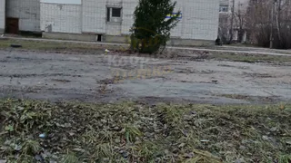 По пизанскому подобию: ковровчане возмущены новогодней «красавицей», которую воткнули в грязь