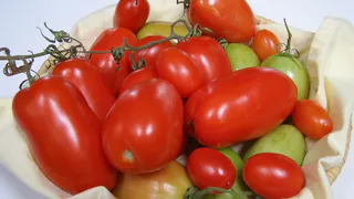 Томат, который оправдывает свое название: гибрид «Джекпот»