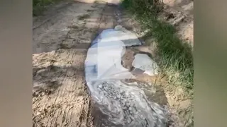 Жители Агро-Пустыни пожаловались на лужу с запахом сероводорода