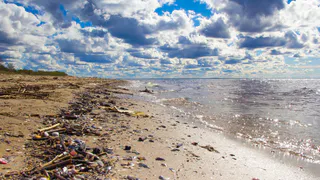 "Не курорт, а вонючий клоповник": честный отзыв туристки об отдыхе в Абхазии