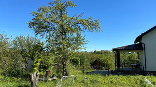 Полный запрет с 25 мая: неожиданный сюрприз для всех огородников и садоводов