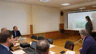 Во Владимире планируют удалить деревья, пострадавшие от златки, чтобы защитить здоровые растения