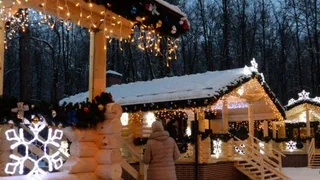 Осторожно, мошенники: в Рязани неизвестные пытаются взять деньги за посещение резиденции Деда Мороза