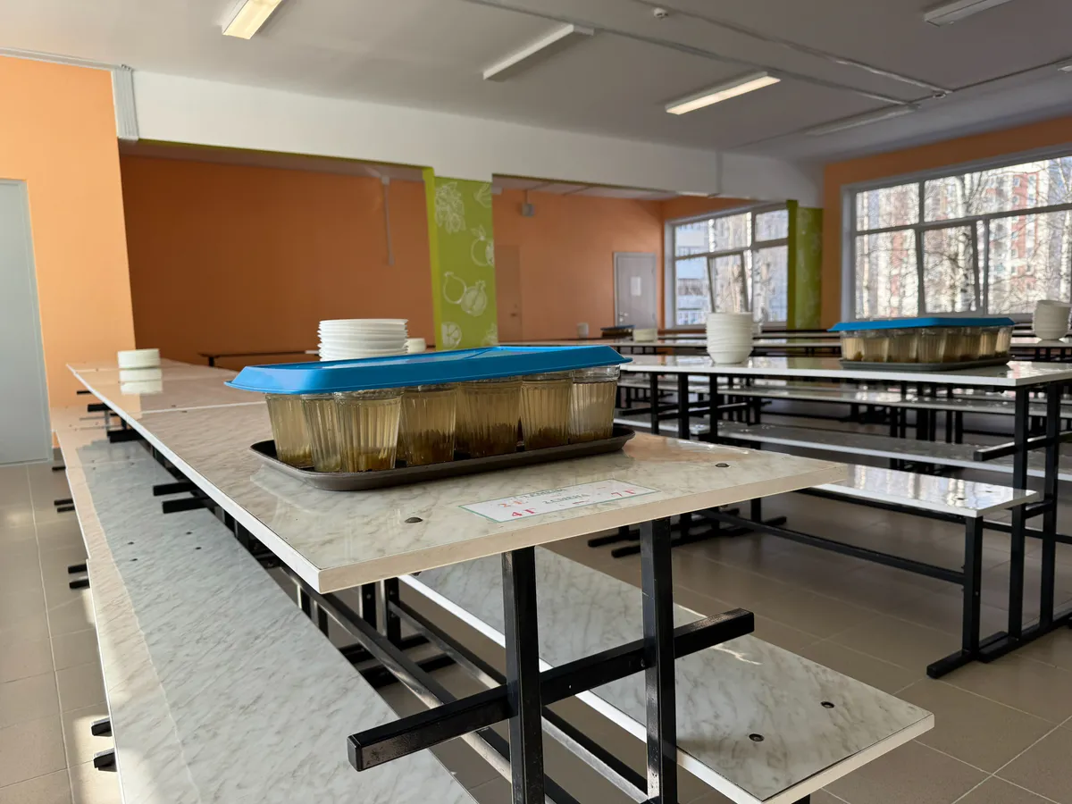 Шницель и наггетсы: как меняется система питания в школах и садах Магнитогорска