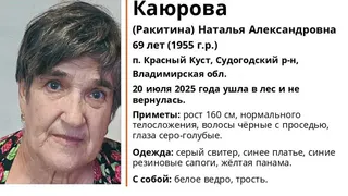 В Судогодском районе 69-летняя женщина ушла в лес и пропала безвестии