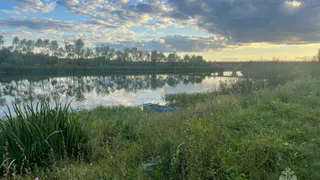 В Нижнекамском районе у реки Шемша найдено тело