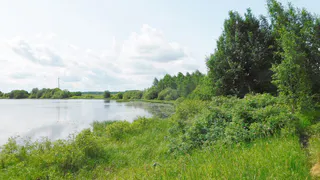 Чебоксары компенсировали ущерб за сброс загрязнённых стоков в Волгу