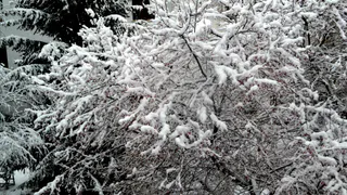 Рязанские спасатели опубликовали метеопредупреждение на 19 марта