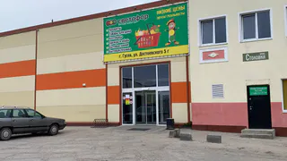 Не только низкие цены: какие скрытые хиты продаются в "Светофоре" - беру их даже без акции