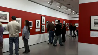 Звезды советуют на 19 ноября: кому из знаков Зодиака улыбнется удача и как не упустить свой шанс