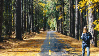 С 28 октября этот знак зодиака начнет резко богатеть: крупно повезет на работе