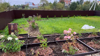 Красивая и опасная: как избавиться от капустницы, пока она не извела весь урожай