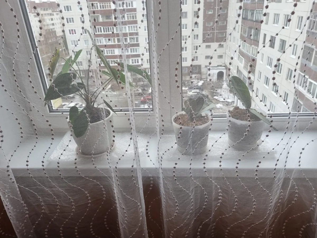 Шторы как новые, не снимая с карниза: лайфхак, который экономит время — даже стирка не нужна