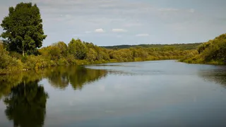 Река Миасс стала значительно чище