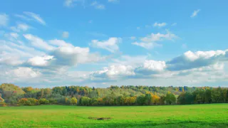 Прогноз погоды на 23 июня: дождя в Рязани не будет