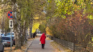 «Бабье лето» в Челябинской области: когда ждать потепления после снегопадов в регионе