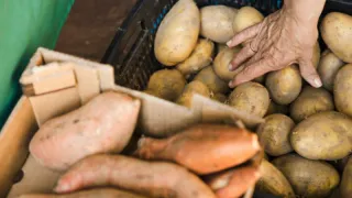 Картофельный бум обеспечен: положите это в каждую лунку перед посадкой