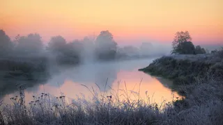 Жителей Брянской области 7 сентября ожидает температура до +16 градусов