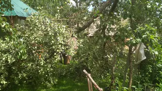 В Шиловском районе устраняют последствия вчерашнего шторма