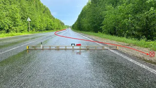 В Коми водитель иномарки закончил обгон в кювете