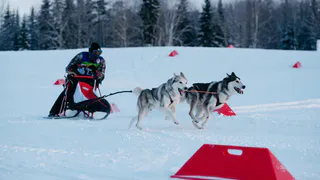 В Коми состоялись гонки на собачьих упряжках