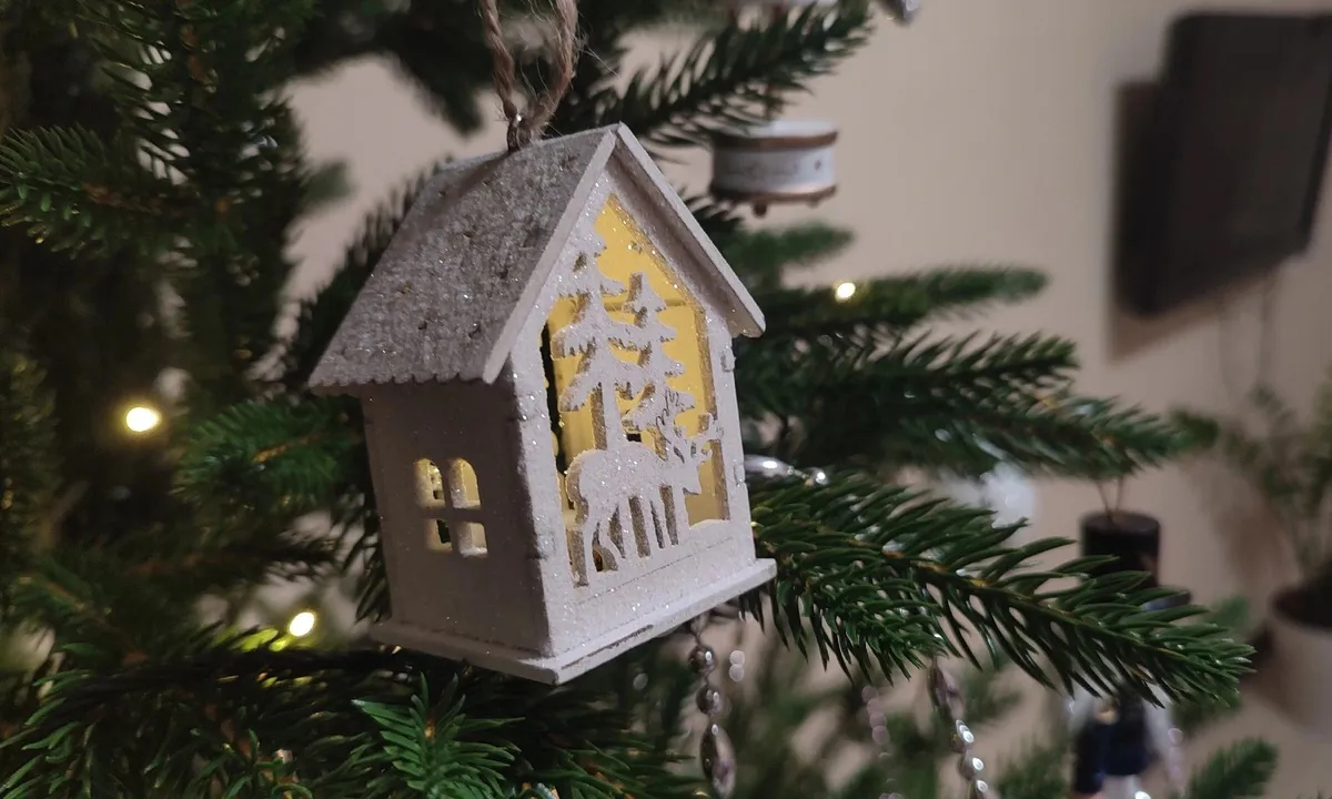 Прогноз на 2025 год от челябинского астролога Ольги Мунтаниной