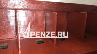 «Туалет на улице, «баня» - общая»: пензячка пожаловалась на ужасные условия отдыха детей в лагерях