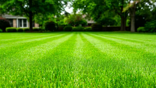 Скошенная трава: мой опыт, как дачнику использовать зеленую массу с максимальной пользой для огорода