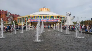 Открытие рязанского цирка. Все самое интересное с места события