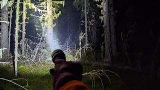 В Коми отряд "ЛизаАлерт" подвел итоги сентябрьских поисковых операций