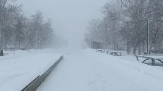 МЧС предупреждает рязанцев о метели