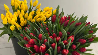 Отмечать будем 8 дней подряд: вот как россияне отдохнут на 8 Марта