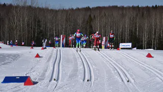 Лыжные гонки и плавание стали самыми массовыми видами спорта в Коми