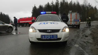 В Рязанской области задержали межрегиональных угонщиков