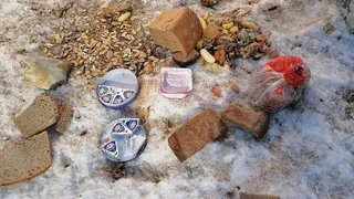 Забота не о птицах, а о мышах: нижнекамцы жалуются на буханки хлеба, лежащие на газоне 