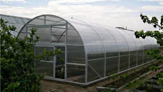 Поставьте теплицу, которая простоит 20 лет