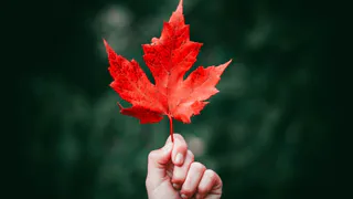 О погоде в Рязани - рабочая неделя выдастся дождливой